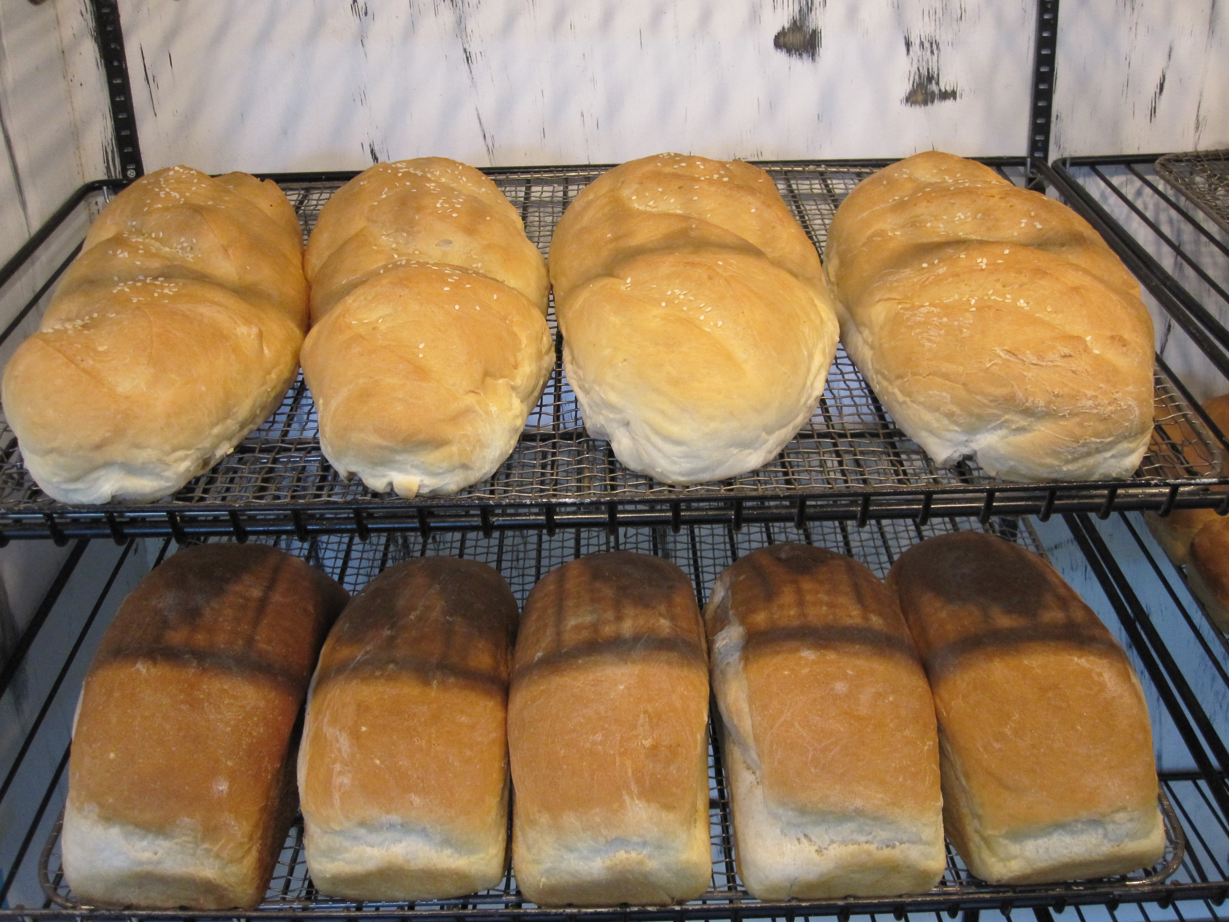 Breads Buns